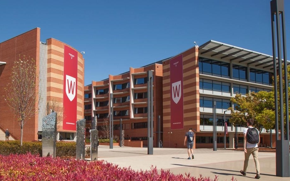 Giảm sinh viên quốc tế, trường đại học tại Australia cắt giảm nhiều lao động